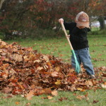 Raking leaves with a rake