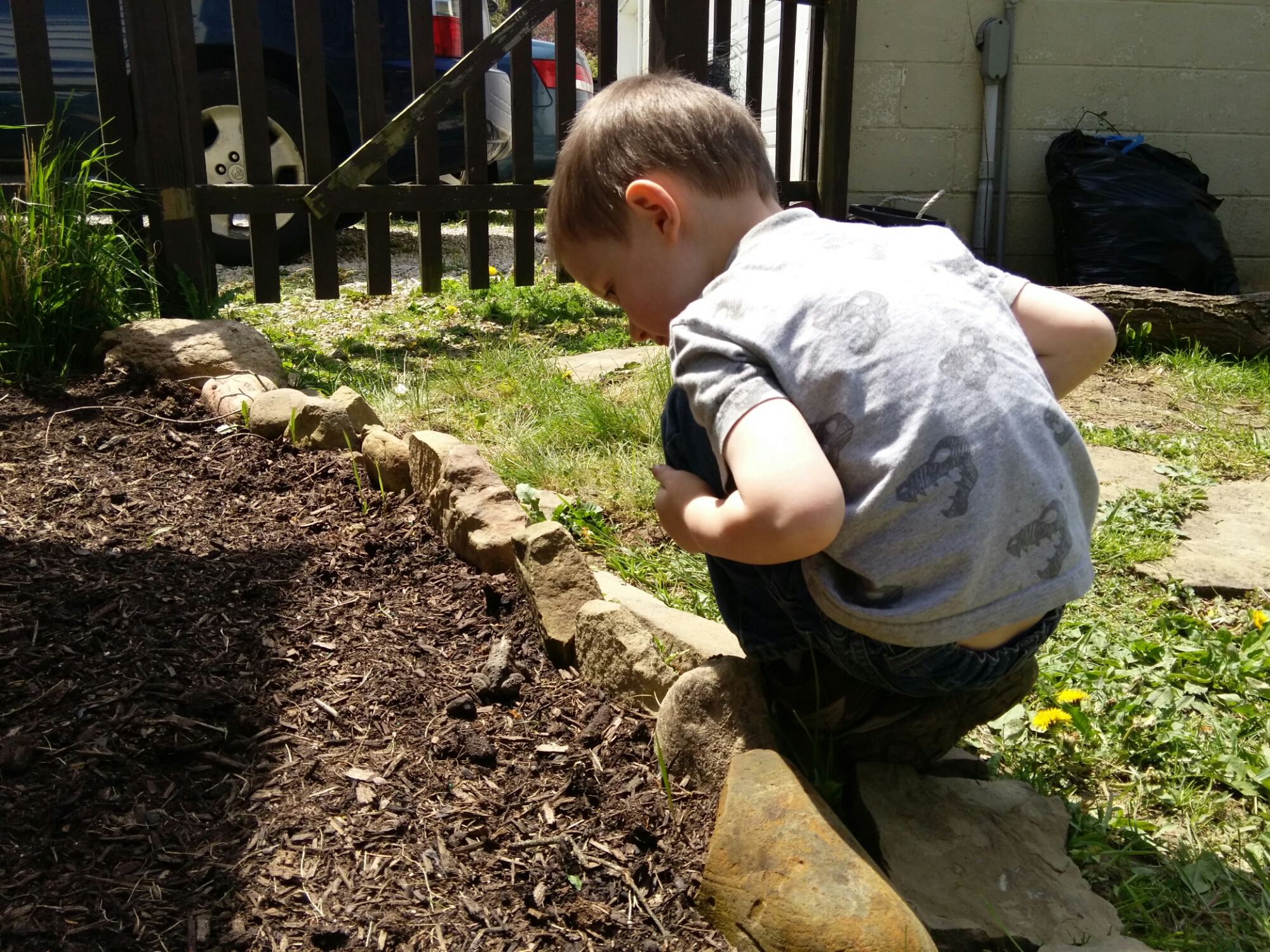 The Language of Nature